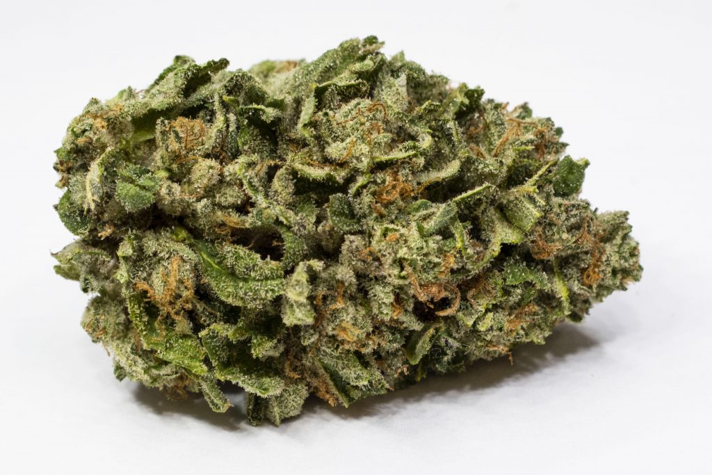 2018CannabisStrainGuava4 Grant Pharms