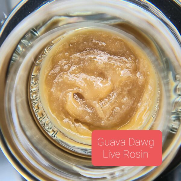 Guava-Dawg-Live-Rosin-600x600.jpg