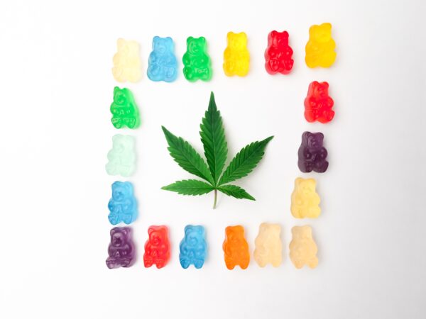 Questions to Ask When Visiting a Medical Marijuana Dispensary