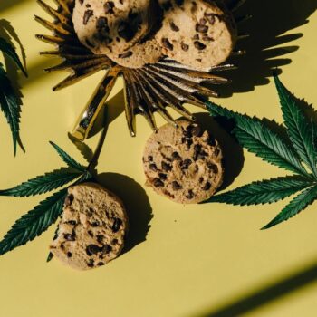 Eating Marijuana Edibles vs. Smoking