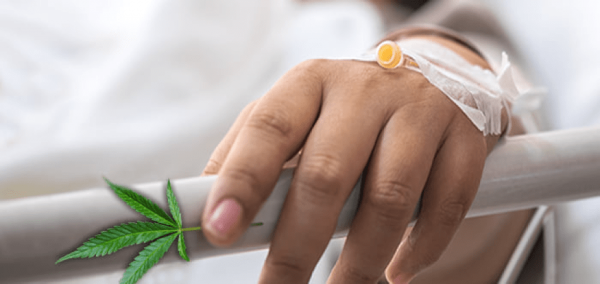 How Cannabis Positively Affects the Immune System