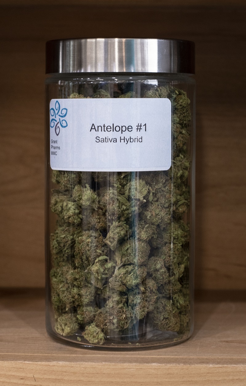 Antelope 1 Sativa Hybrid Jar
