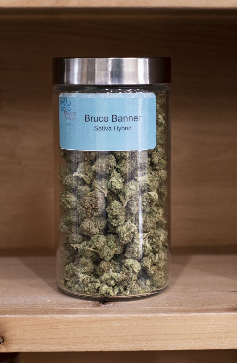 Bruce Banner Sativa Hybrid Jar