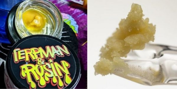 The Benefits of Solventless Extractions The Benefits of Solventless Extractions