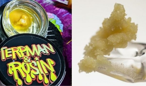 Buy Terpman and Rosin Live Concentrates Online