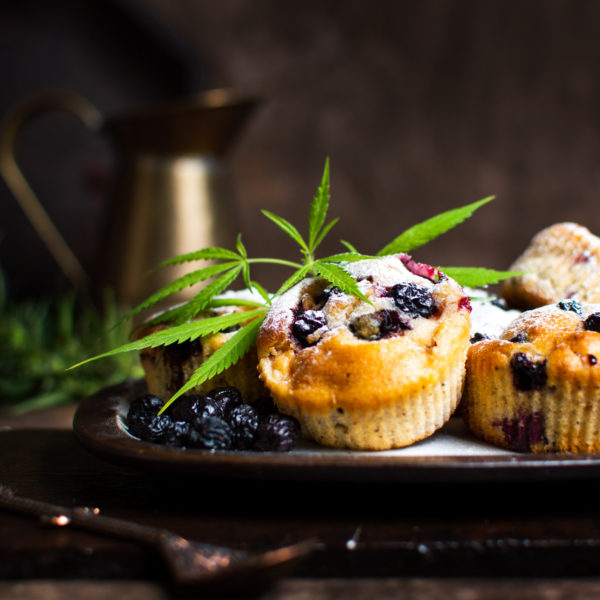 Healthy Munchies - Wake and Bake
