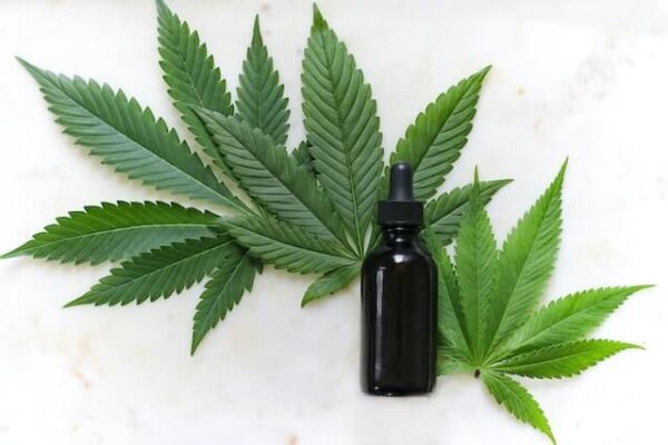 How Cannabis Positively Affects the Immune System